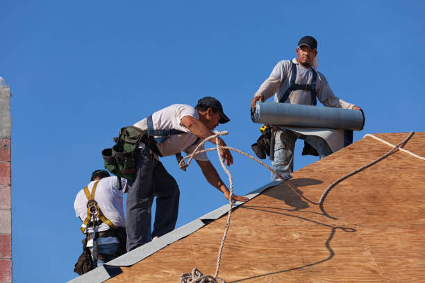 Best Roof Leak Repair  in Chenango Bridge, NY