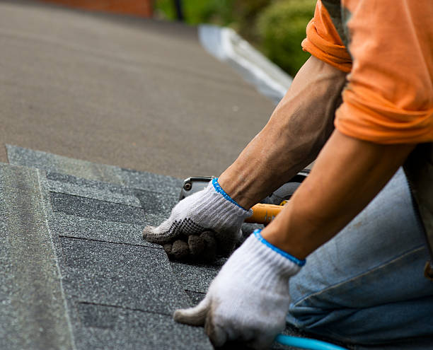 Best Storm Damage Roof Repair  in Chenango Bridge, NY